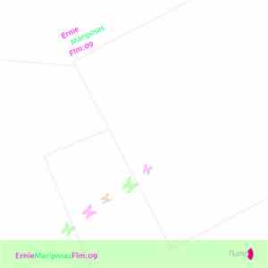 Ernie - Mariposas Y Piedras album