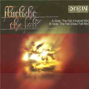 Flutlicht - The Fall album