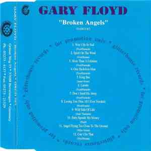 Gary Floyd - Broken Angels album