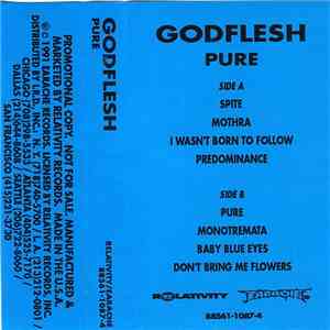Godflesh - Pure album