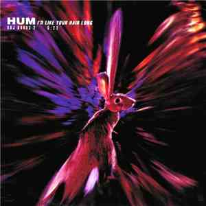 Hum  - I'd Like Your Hair Long album