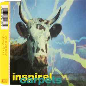 Inspiral Carpets - She Comes In The Fall album
