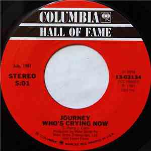 Journey - Who's Crying Now / Don't Stop Believin' album