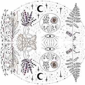 Lavender Child - Reflections album