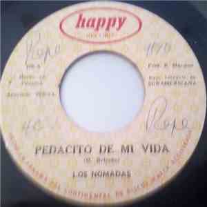 Los Nomadas - Pedacito De Mi Vida / Que Lastima album