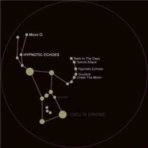 Micro G. - Hypnotic Echoes album