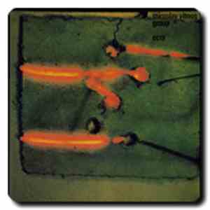 Miroslav Vitous Group - Miroslav Vitous Group album