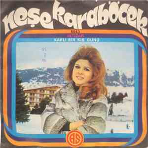 Neşe Karaböcek - Intizar / Karli Bir Kis Günü album