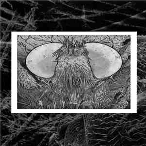 Nothing - The Spine Overshadowed By The Rope album