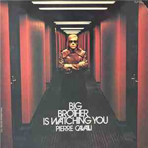 Pierre Cavalli - Big Brother Is Watching You album