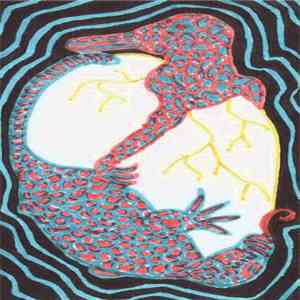 Plankton Wat - Shadows album