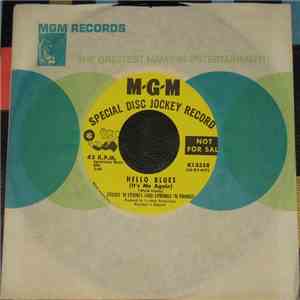 Sticks 'N Stones And Strings 'N Things - Hello Blues (It's Me Again) album