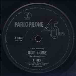 T. Rex - Hot Love album