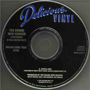 The Brand New Heavies Featuring N'Dea Davenport - Dream Come True album