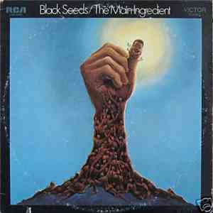 The Main Ingredient - Black Seeds album