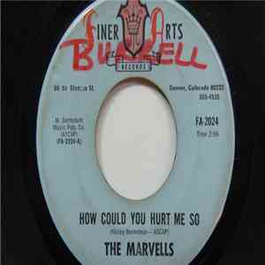 The Marvells  - How Could You Hurt Me So album