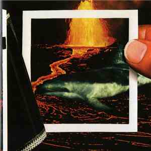 The Thermals - We Disappear album
