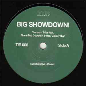 Trensum Tribe - Eyes Descive Remix / Fashion album