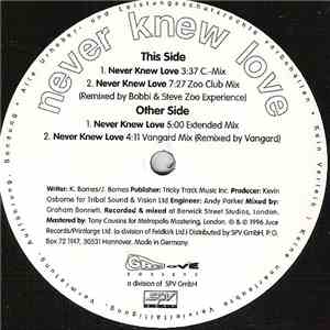 Troi - Never Knew Love album