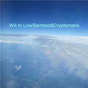 Voile - Will To Live album