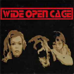 Wide Open Cage - Arranger / After album