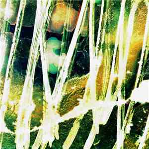 Zach Smith  - Ocular Reverie album
