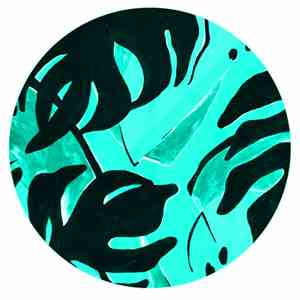 Bawrut - Ciquita / 1-2-3-4 Remixes album