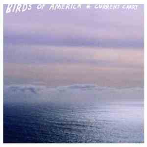 Birds Of America - Current Carry album