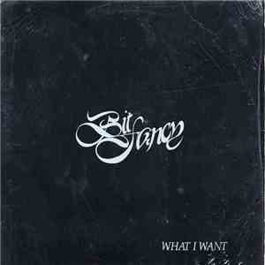 Bit Fancy - What I Want album