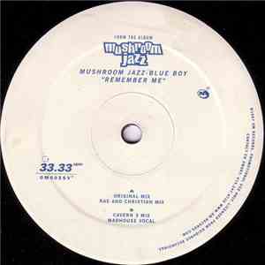 Blue Boy - Remember Me album