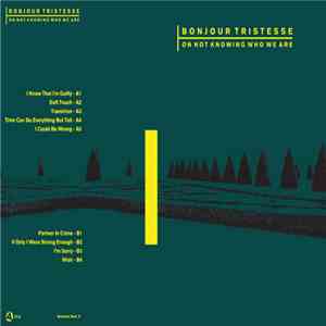 Bonjour Tristesse - On Not Knowing Who We Are album