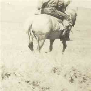Bruce Langhorne - The Hired Hand album