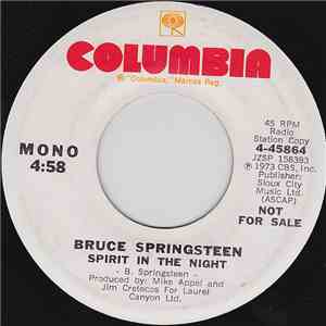 Bruce Springsteen - Spirit In The Night album