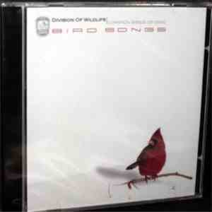 Common Birds Of Ohio - Bird Songs album