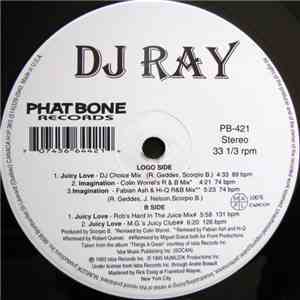 DJ Ray - Juicy Love / Imagination album