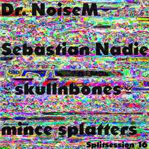 Dr. NoiseM / Sebastian Nadie / ☠skullnbones☠ / Mince Splatters - Splitsession 16 album