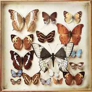 Emiliana Torrini - Rarities album