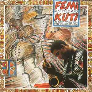 Femi Anikulapo Kuti And The Positive Force - Femi Anikulapo Kuti And The Positive Force album