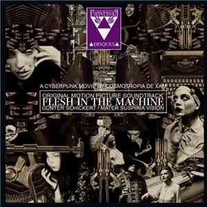 Günter Schickert / Mater Suspiria Vision - Flesh In The Machine album