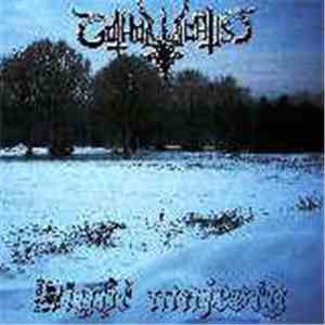 Gotholocaust - Night Majesty album