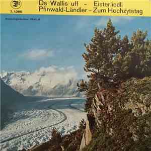 Handorgelduett «Die Lustigen Walliser» - Handorgelduett «Die Lustigen Walliser» album