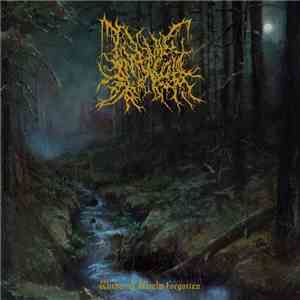 Infernal Coil - Within A World Forgotten album
