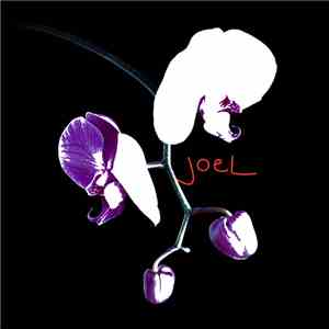 Joel Garden - The Raveemixes EP album