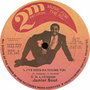 Junior Soul - I've Been Watching You album