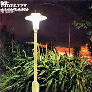 Lo-Fidelity Allstars - Feel What I Feel album