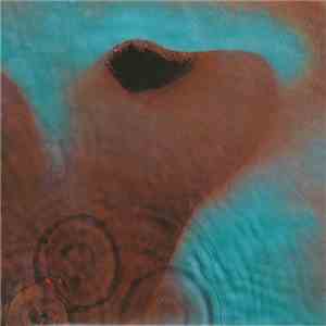 Pink Floyd - Meddle album