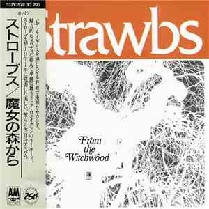 Strawbs - From The Witchwood album