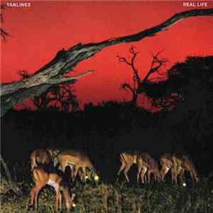 Tanlines - Real Life album