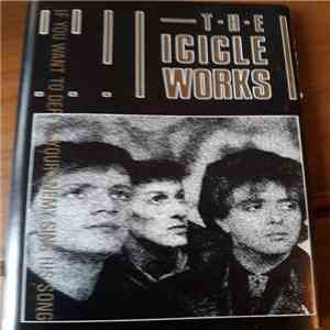 The Icicle Works - If You Want To Defeat Your Enemy Sing His Song album