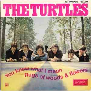 The Turtles - You Know What I Mean / Rugs Of Woods & Flowers album